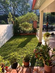 West Coast Gardens (D5), Terrace #559710761